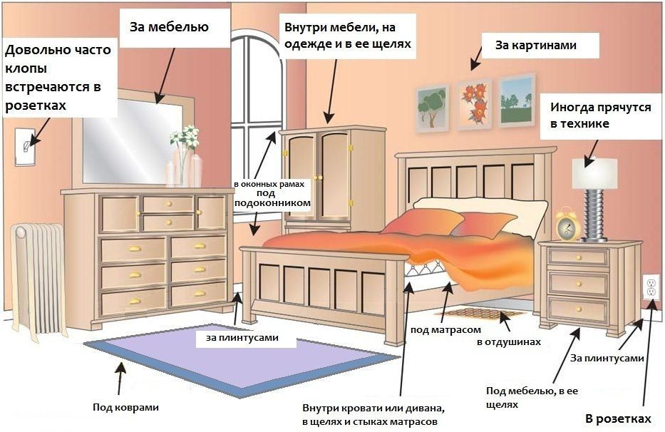 Обработка матрасов в общежитии